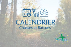 Illustration de l'actualité - cliquer pour agrandir
