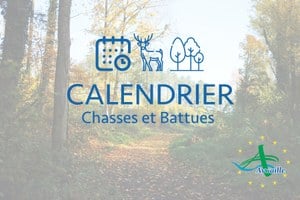 Illustration de l'actualité - cliquer pour agrandir